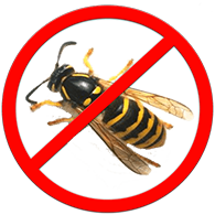 Kammerjäger Wespenbekämpfung